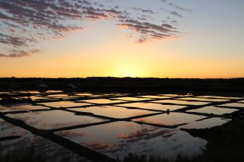 environnement-salins