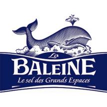 logo-baleine-2006